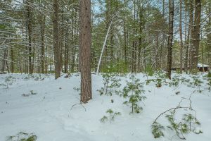 Off E Holiday Dr, , St Germain,  WI 54558 United States