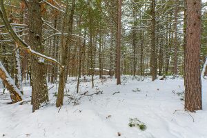 Off E Holiday Dr, , St Germain,  WI 54558 United States