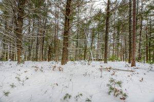 Off E Holiday Dr, , St Germain,  WI 54558 United States