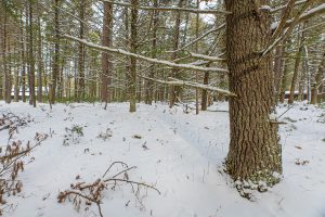 Off E Holiday Dr, , St Germain,  WI 54558 United States