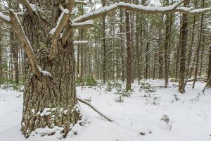 Off E Holiday Dr, , St Germain,  WI 54558 United States