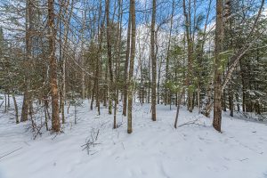 Off Shangri La, , Eagle River,  WI 54521 United States