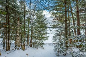 Off Shangri La, , Eagle River,  WI 54521 United States