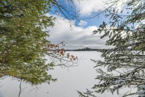 Off Shangri La, , Eagle River,  WI 54521 United States