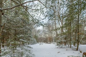 Off Shangri La, , Eagle River,  WI 54521 United States