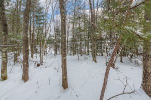 Off Shangri La, , Eagle River,  WI 54521 United States