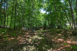 Off Shangri La, , Eagle River,  WI 54521 United States