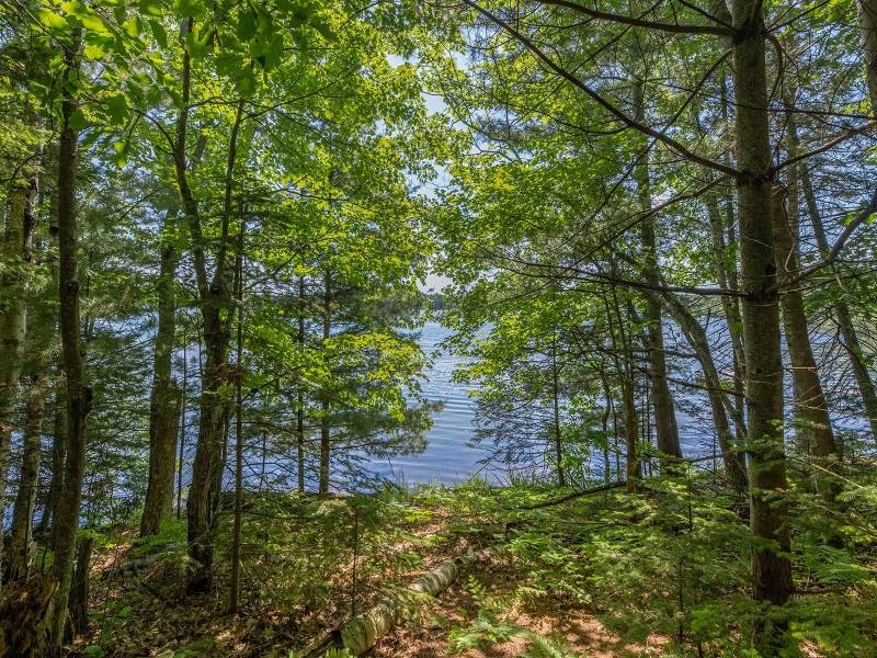 Off Shangri La, , Eagle River,  WI 54521 United States
