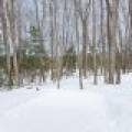 6356 Island Point Rd, , Land O Lakes,  WI 54540 United States