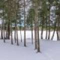 6356 Island Point Rd, , Land O Lakes,  WI 54540 United States