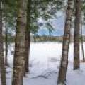 6356 Island Point Rd, , Land O Lakes,  WI 54540 United States