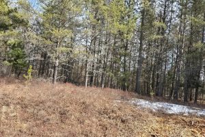 10 Acres CTH L, , Nokomis,  WI 54487 United States