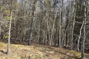 10 Acres CTH L, , Nokomis,  WI 54487 United States