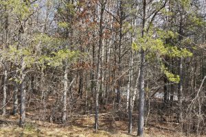 10 Acres CTH L, , Nokomis,  WI 54487 United States
