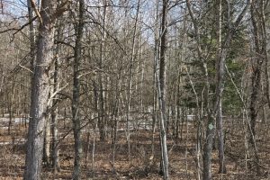 10 Acres CTH L, , Nokomis,  WI 54487 United States