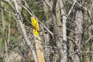 10 Acres CTH L, , Nokomis,  WI 54487 United States