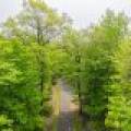 16/8250 Maplewood Ln, , Sugar Camp,  WI 54521 United States