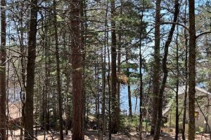 1870 Timberlands Dr, , Eagle River,  WI 54521 United States