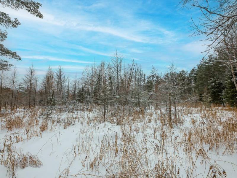 210 N Seventh St, , Eagle River,  WI 54521 United States