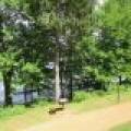 215/8250 Northern Rd, , Minocqua,  WI 54548 United States