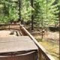 2962 Pine Crest Ln, , Sayner,  WI 54560 United States