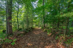 3408 Struck Rd, , Conover,  WI 54519 United States