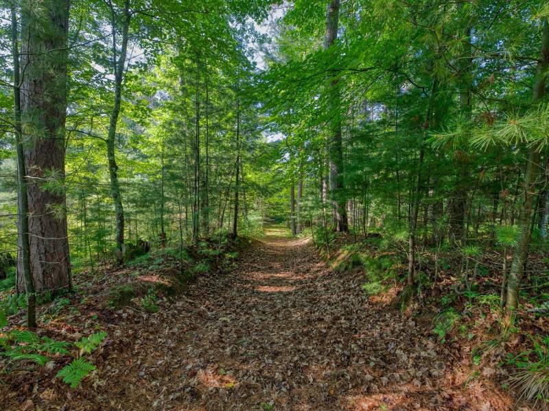 3408 Struck Rd, , Conover,  WI 54519 United States