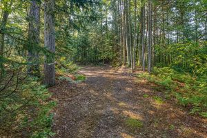 3408 Struck Rd, , Conover,  WI 54519 United States