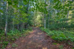 3408 Struck Rd, , Conover,  WI 54519 United States