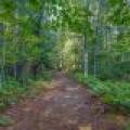 3408 Struck Rd, , Conover,  WI 54519 United States