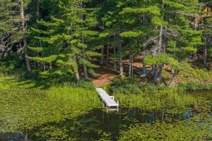 3408 Struck Rd, , Conover,  WI 54519 United States
