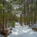 3408 Struck Rd, , Conover,  WI 54519 United States