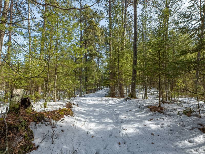 3408 Struck Rd, , Conover,  WI 54519 United States