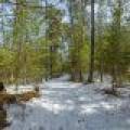 3408 Struck Rd, , Conover,  WI 54519 United States