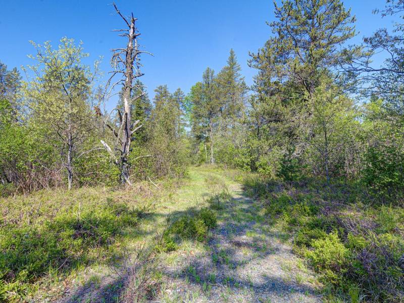 5145 Tamarack Rd, , Conover,  WI 54519 United States