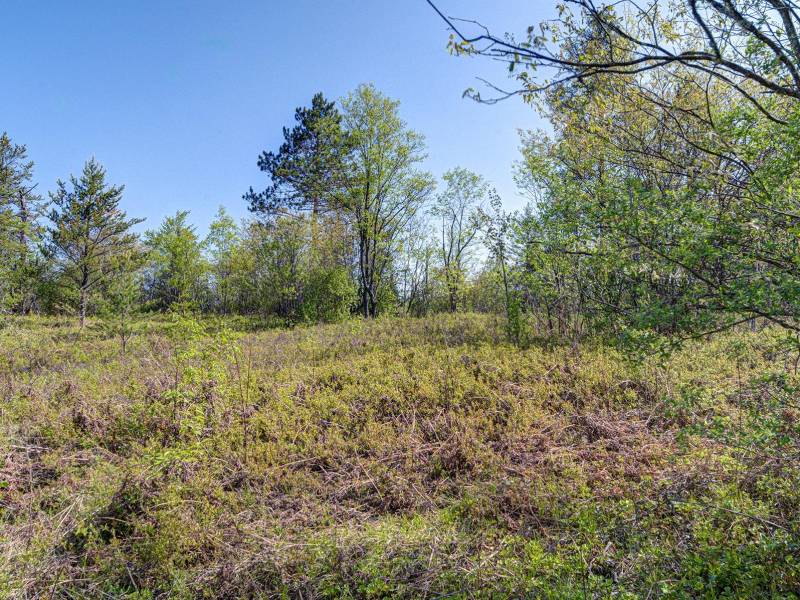 5145 Tamarack Rd, , Conover,  WI 54519 United States