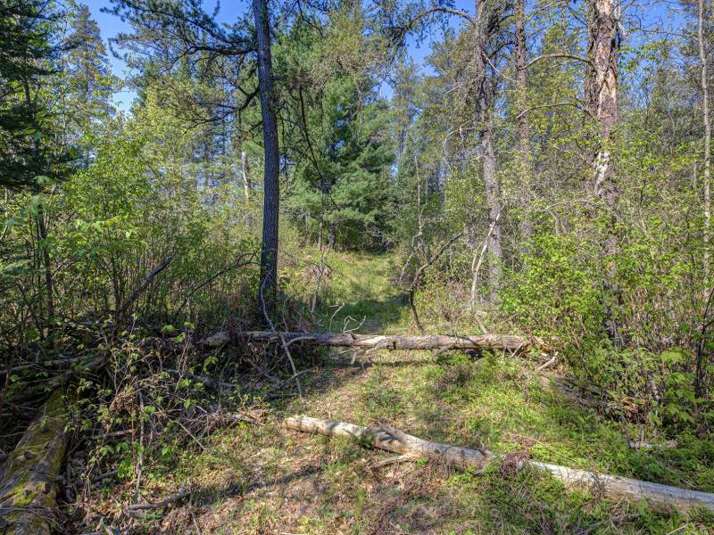 5145 Tamarack Rd, , Conover,  WI 54519 United States