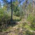 5145 Tamarack Rd, , Conover,  WI 54519 United States