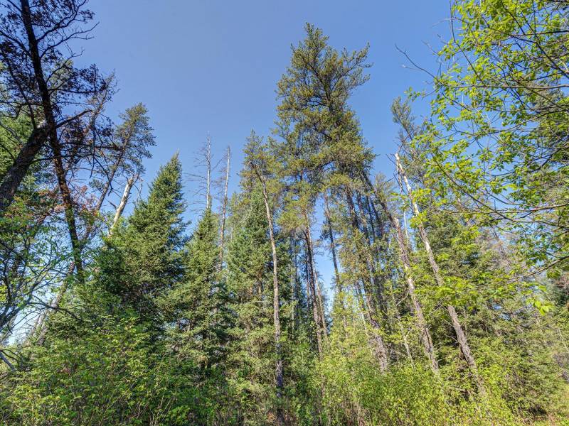 5145 Tamarack Rd, , Conover,  WI 54519 United States