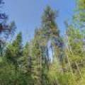 5145 Tamarack Rd, , Conover,  WI 54519 United States