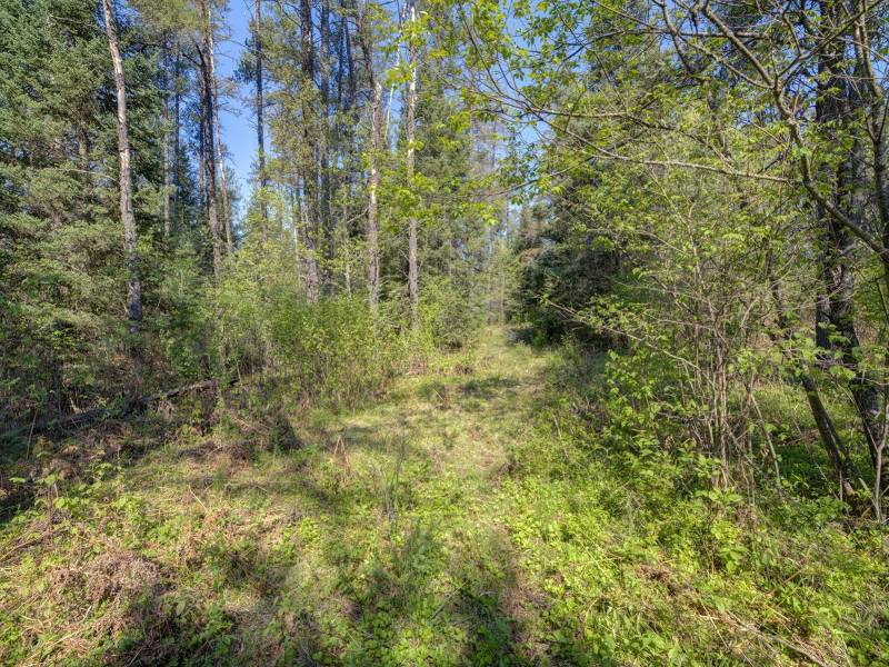 5145 Tamarack Rd, , Conover,  WI 54519 United States