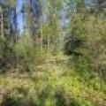 5145 Tamarack Rd, , Conover,  WI 54519 United States