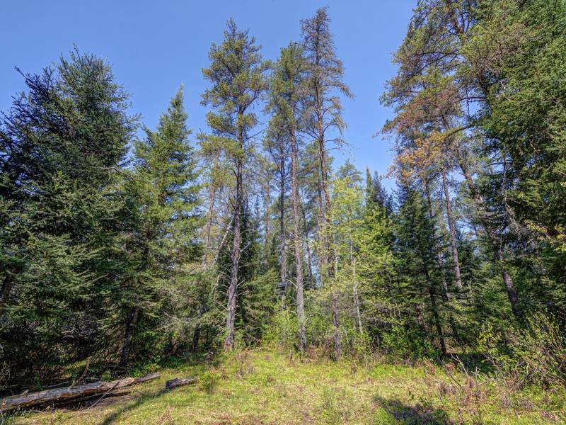 5145 Tamarack Rd, , Conover,  WI 54519 United States