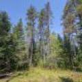 5145 Tamarack Rd, , Conover,  WI 54519 United States