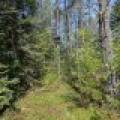 5145 Tamarack Rd, , Conover,  WI 54519 United States