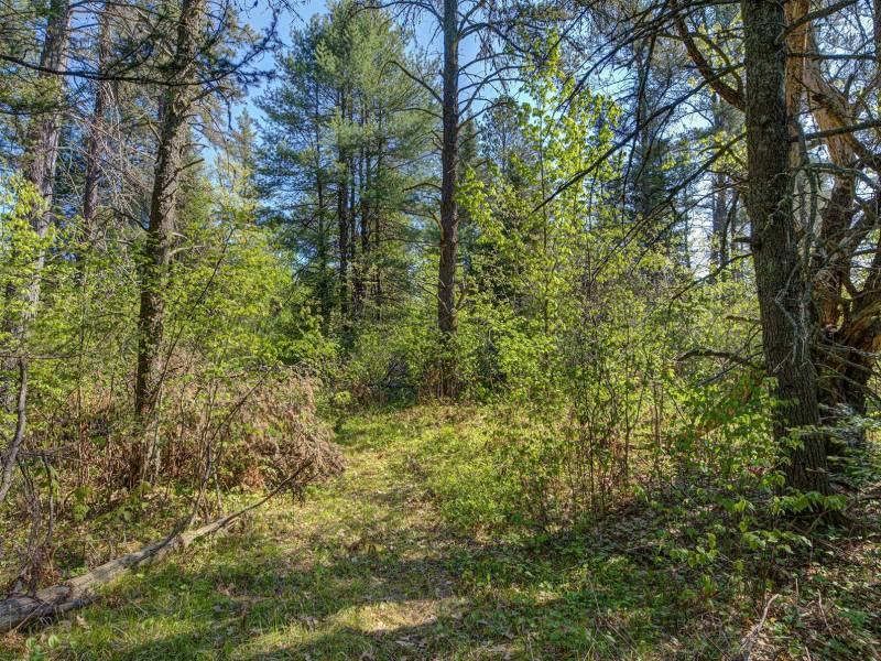 5145 Tamarack Rd, , Conover,  WI 54519 United States