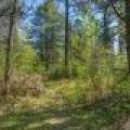 5145 Tamarack Rd, , Conover,  WI 54519 United States