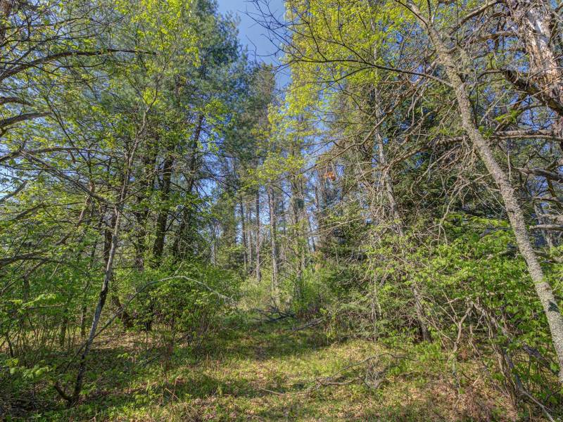 5145 Tamarack Rd, , Conover,  WI 54519 United States