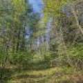 5145 Tamarack Rd, , Conover,  WI 54519 United States