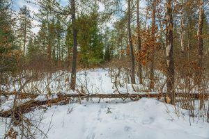 5145 Tamarack Rd, , Conover,  WI 54519 United States